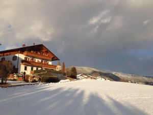 Hotel Alpenhof
